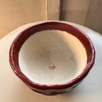 pot1