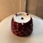 pot1